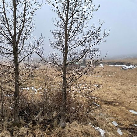 Lindarholl Guesthouse Stori-Bakki Dış mekan fotoğraf
