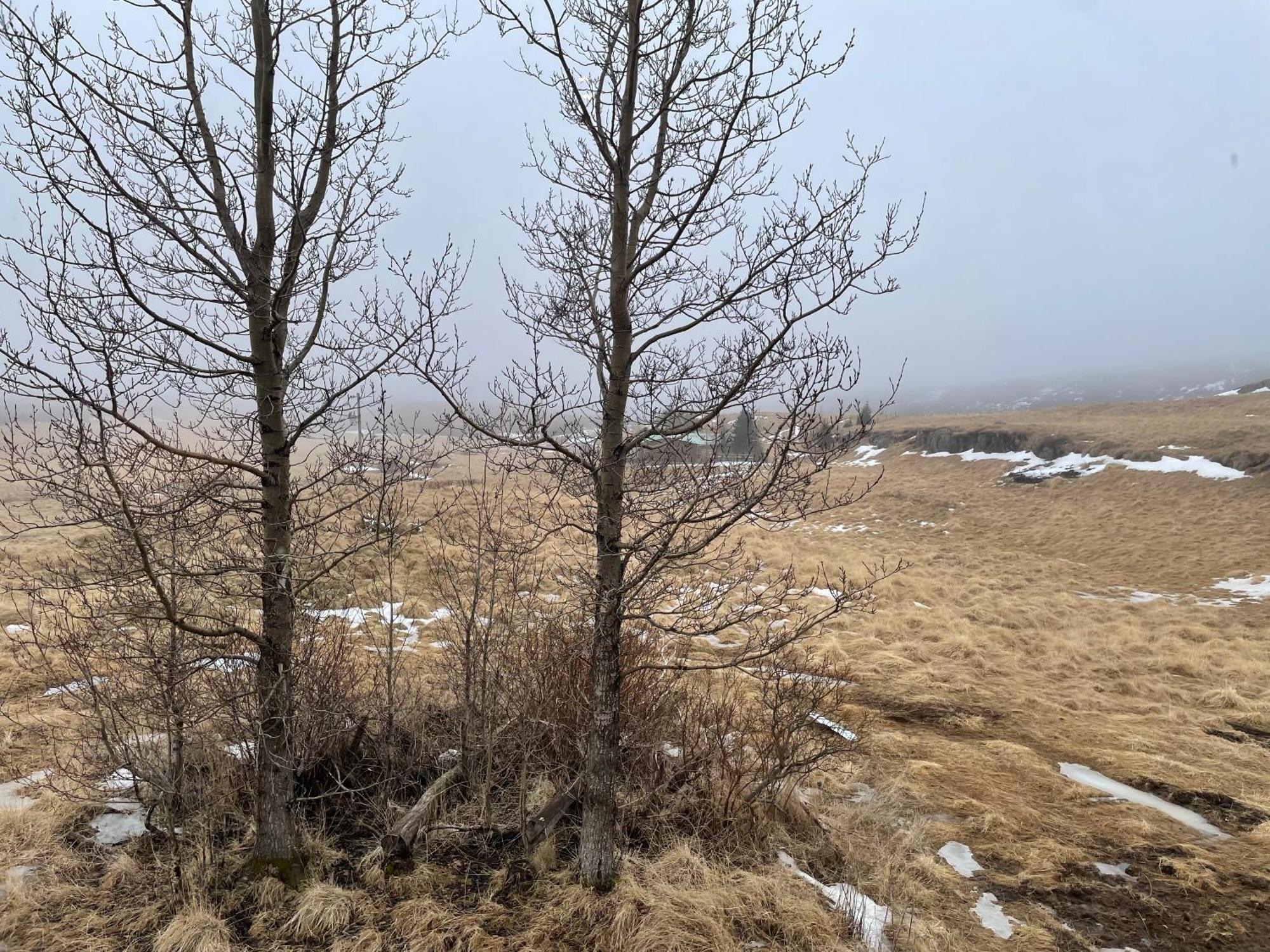 Lindarholl Guesthouse Stori-Bakki Dış mekan fotoğraf
